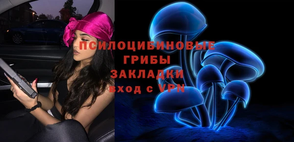 2c-b Белокуриха