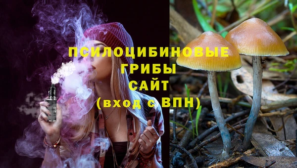 2c-b Белокуриха