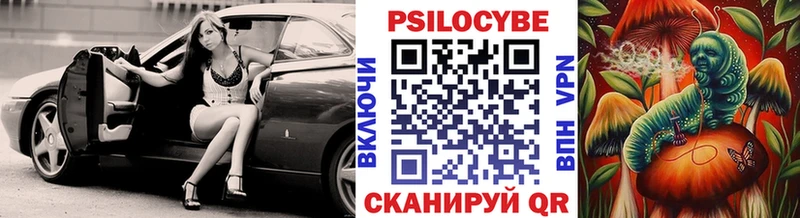 купить  цена  Железногорск-Илимский  OMG ссылка  Псилоцибиновые грибы Psilocybine cubensis 